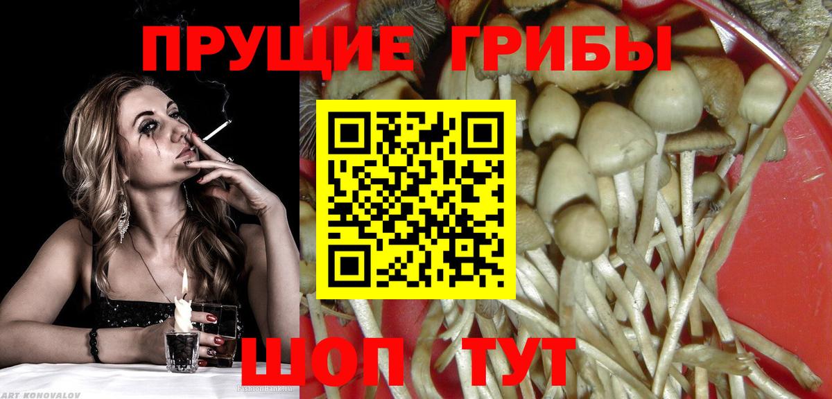 Псилоцибиновые грибы мухоморы Вятские Поляны
