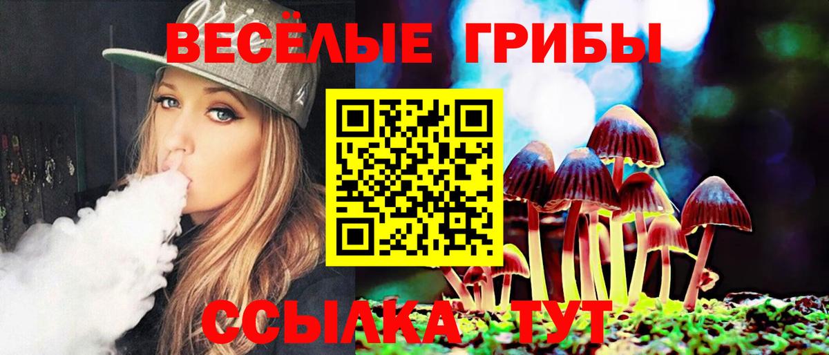 Вятские Поляны  Псилоцибиновые грибы MAGIC MUSHROOMS  Вход с VPN  Псилоцибиновые грибы прущие грибы 